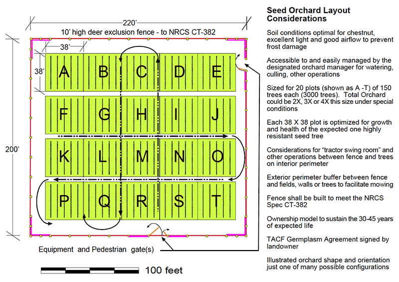 SeedOrchardFull