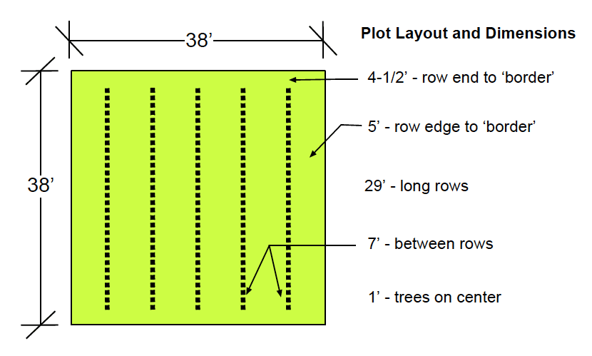SeedOrchardPlot