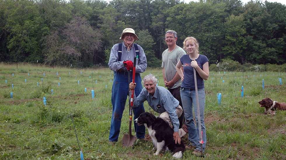 Siting Seed Orchards