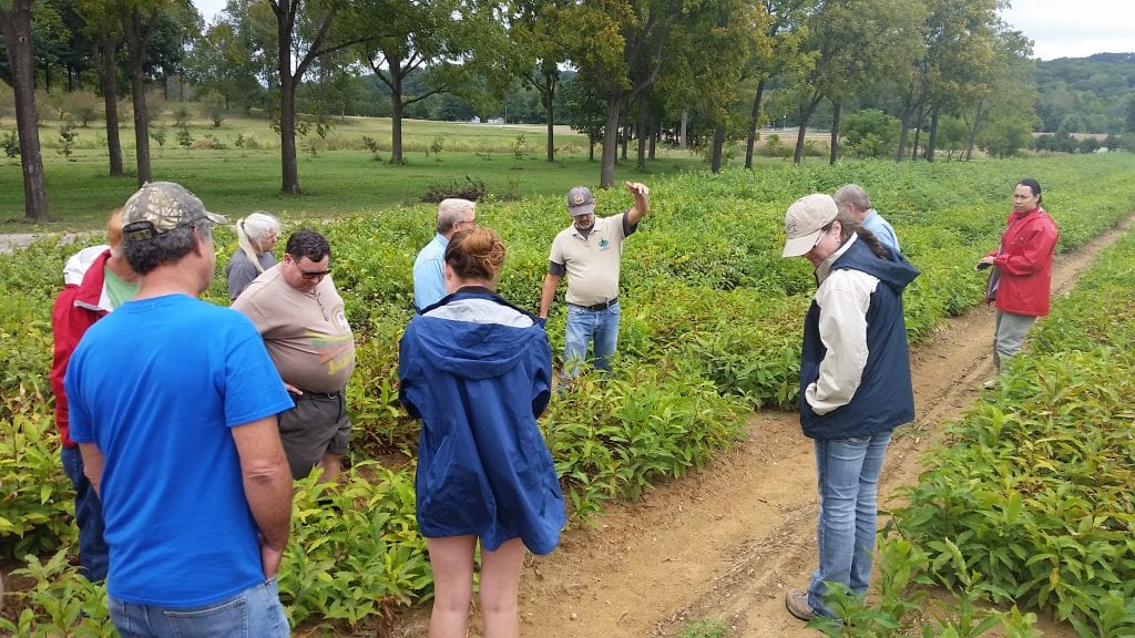 Jim McKenna explains the height that Restoration 1.0 Chestnut trees would grow to without the twice a year pruning. Photo by Ben Finegan.