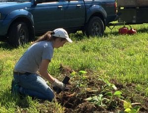 soph-planting-e1464282945532