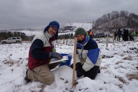 Mullins/McFall Chestnut Planting