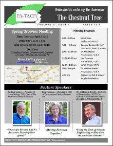The Chestnut Tree – 2016 Spring Issue