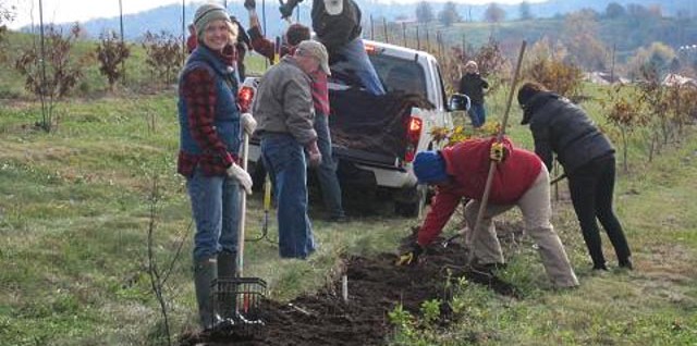 Mother Tree Orchard Readied for Winter