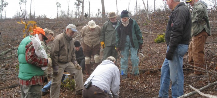 Planting Seedlings in Jefferson National Forest