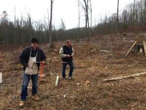 Some volunteers collect data, while others plant trees and install deer exclusion.