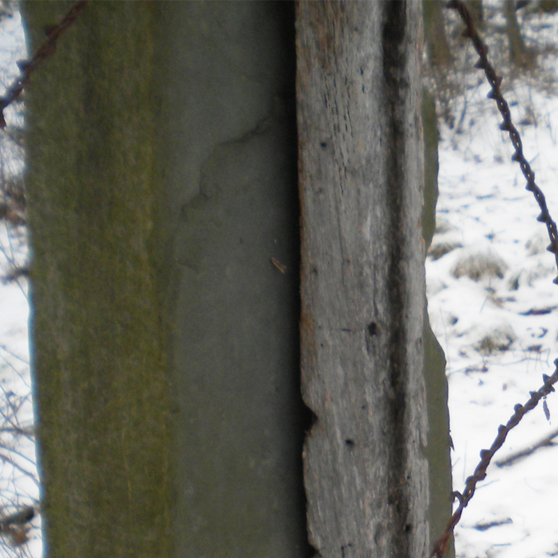 Close-up image of the barbed and woven wire that's attached to the American chestnut post.