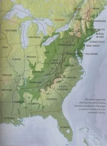 American chestnut native range map