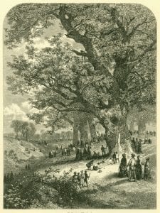 Gathering Chestnuts by JW Lauderbach, from the Art Journal of 1878