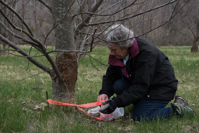 Horticulture Dayz at Front Royal — Feb 28-Mar 1