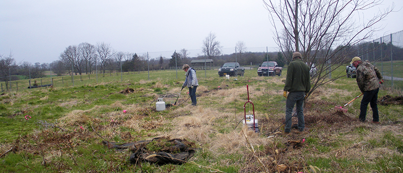 Orchard Work Days at Blandy Scheduled April 16-17