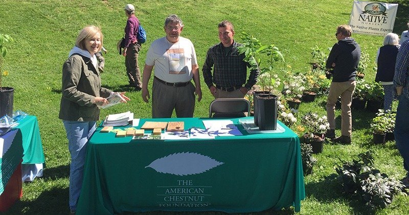 Montreat Native Plant Sale and Arbor Day Celebration