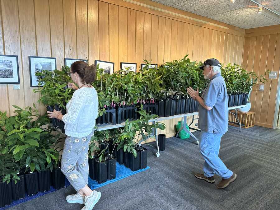 Seedling sale at the meeting.