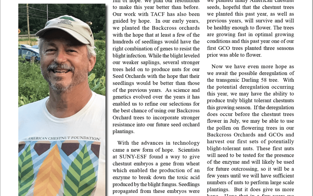 Read the 2023 CT newsletter: The New Leaf