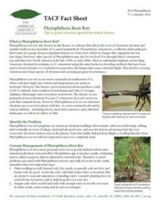 Fact Sheets | The American Chestnut Foundation