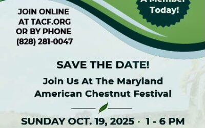 Maryland Chapter Chestnut Festival