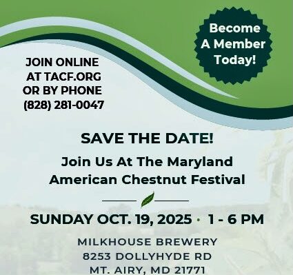 Md- Chestnut Fest