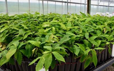 Maryland Chapter Spring Meeting