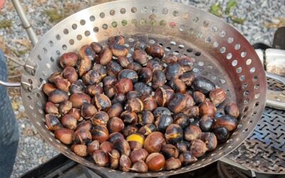 Maryland Chapter Fall Meeting & 2nd Annual Maryland American Chestnut Festival!