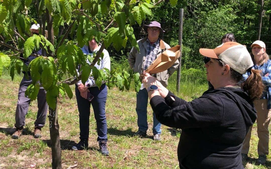 Pollination Training at Beaver Brook May 2023