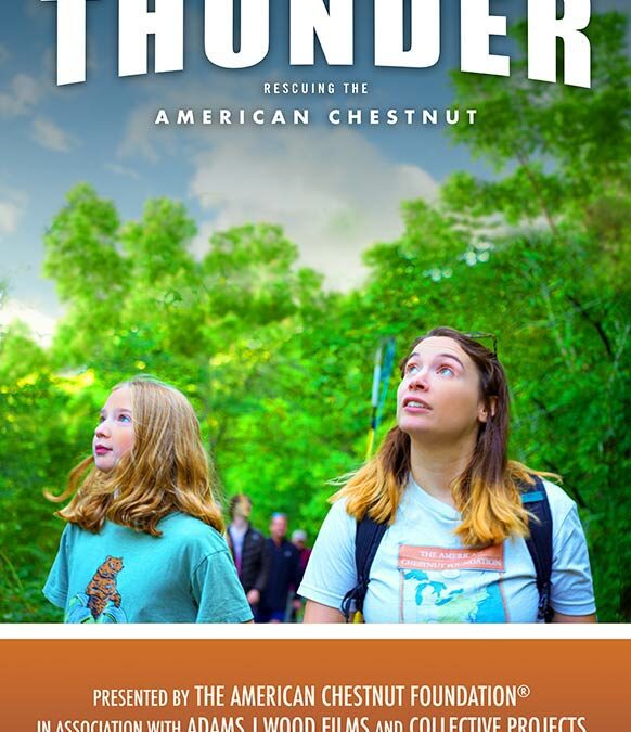 VA – Clear Day Thunder Screening at Matthews State Forest