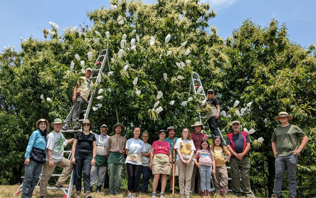 TN-TACF Middle Tennessee Pollination Workshop