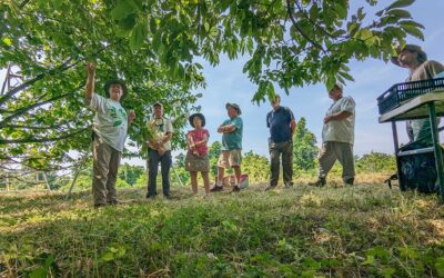 Teaching Pollination Techniques to Enthusiastic Volunteers