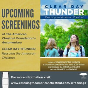 Clear Day Thunder film screenings