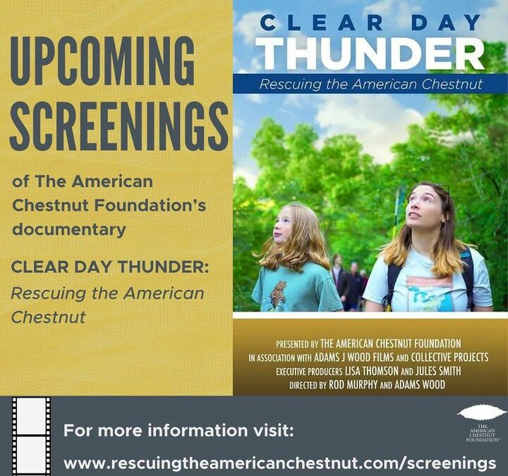 VA- Movie Screening: Clear Day Thunder: Rescuing the American Chestnut