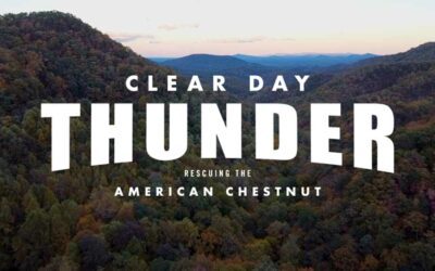 New Documentary Release