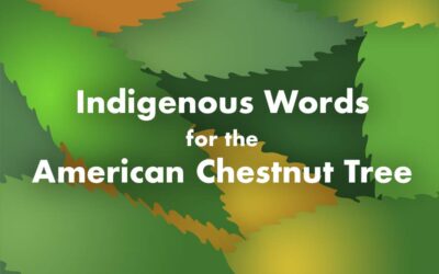 Words for Chestnut in Indigenous Languages