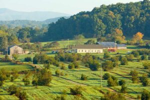 Meadowview Research Farms