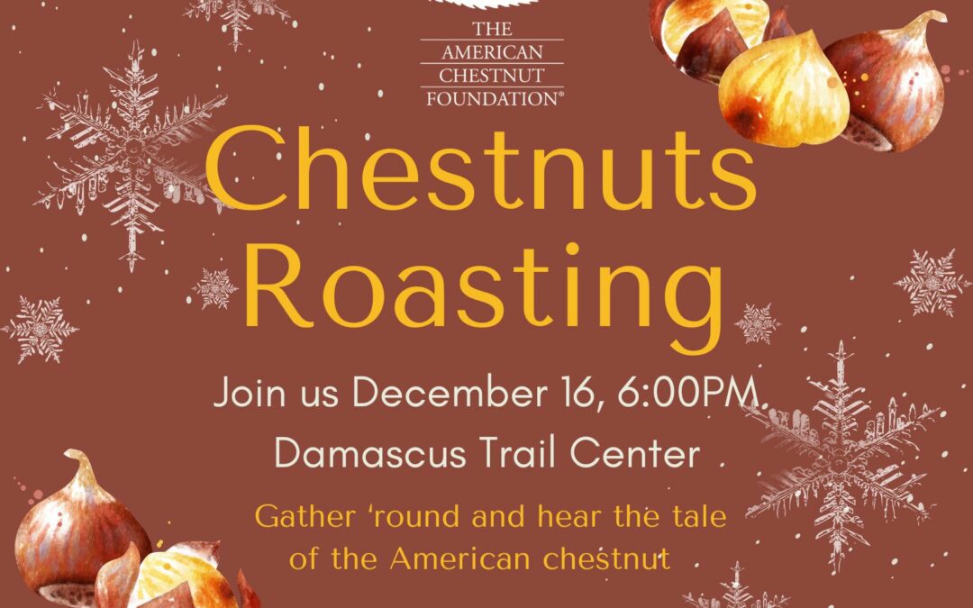 VA- Chestnuts Roasting in Damascus, VA
