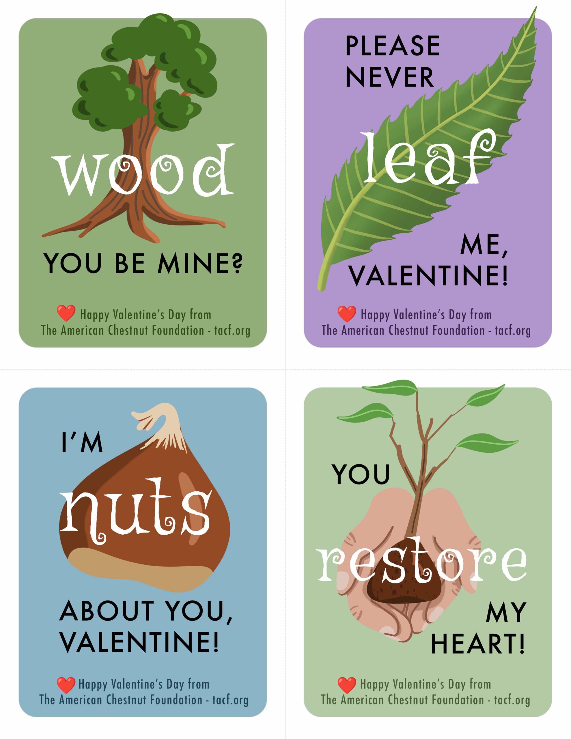 TACF American chestnut Valentine's cards