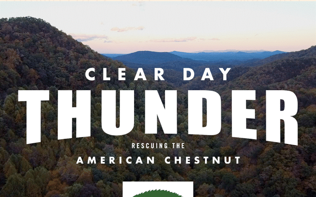 NC- Lunch & Learn + special screening of CLEAR DAY THUNDER at The Cradle of Forestry