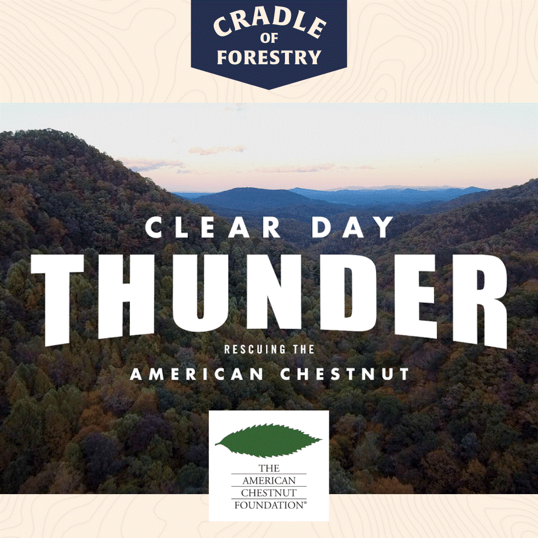 NC Cradle of Forestry screening of Clear Day Thunder