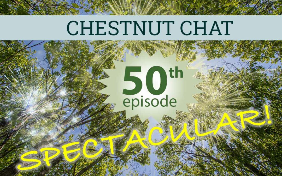 Chestnut Chat: 50th Episode Spectacular