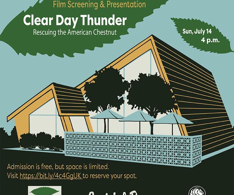 SC- Clear Day Thunder Documentary Screening