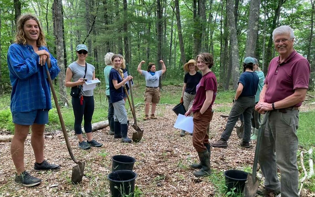 Chestnut Chat: Chestnuts Across Maine