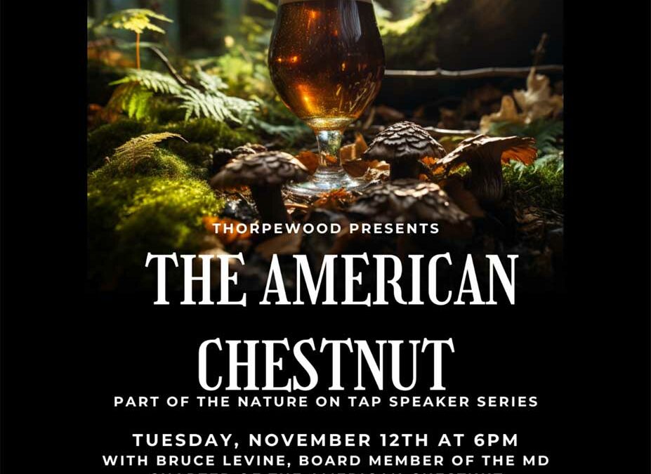 MD – Nature on Tap Speaker Series: The American Chestnut