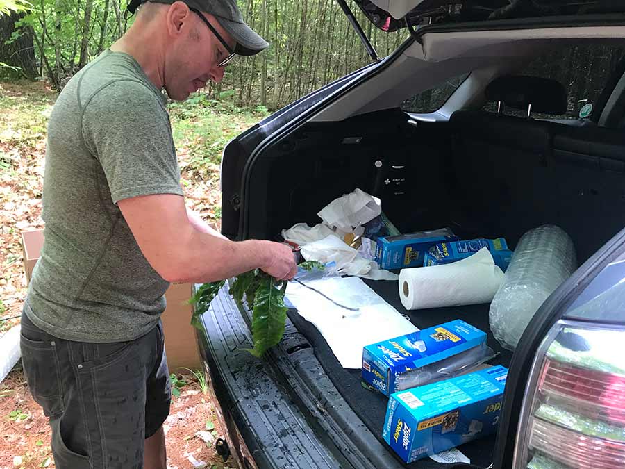 Joe Shaffner preparing 100 cuttings for shipment to ESF