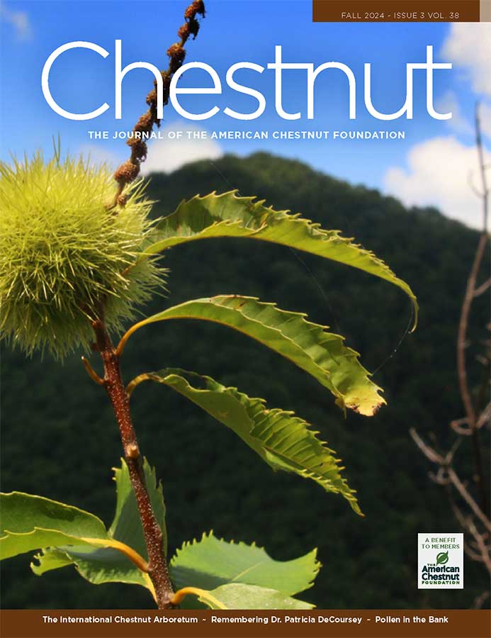 Cover of Chestnut magazine, Fall 2024