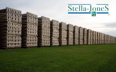 The American Chestnut Foundation Announces Partnership with Stella-Jones to Support Chestnut Restoration