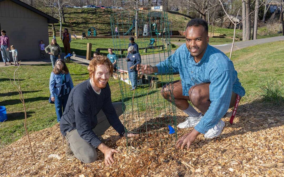 Chestnut Chat: Chestnut Growers Town Hall