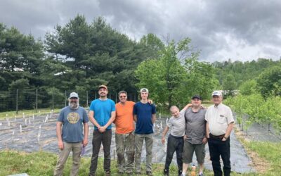 Seed Planting in the Germplasm Conservation Orchard at the Pryor Farm, Edneyville, NC, May 3, 2025