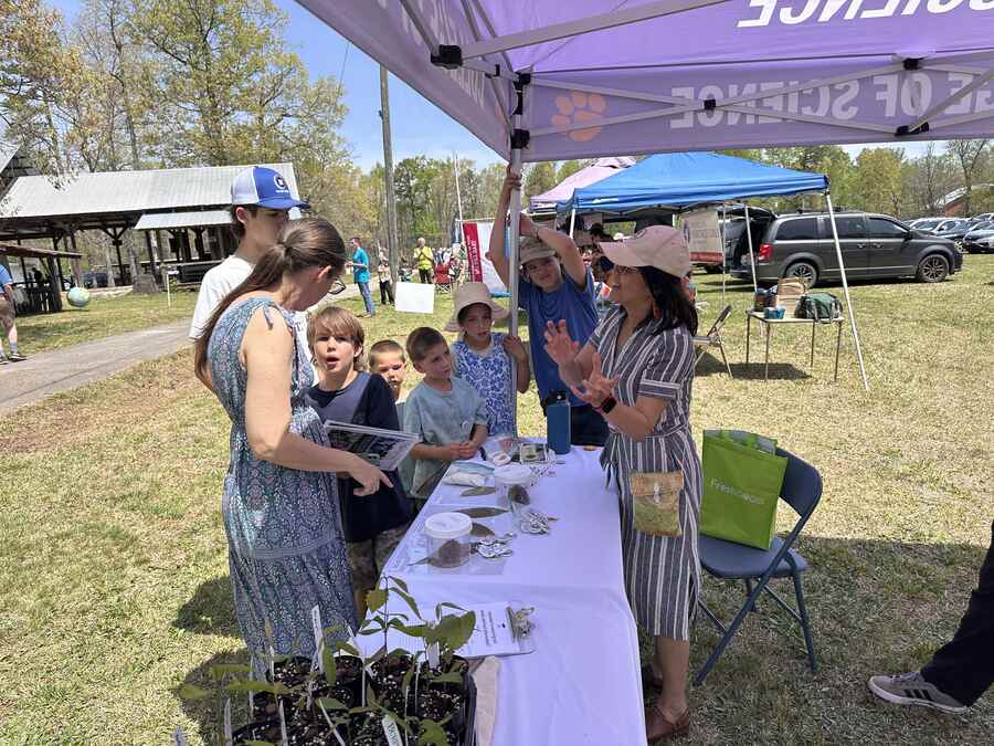 Dr. Haiying Liang, Clemson University professor, and TACF NC/SC board member, sharing educational information about the American chestnut to visitors at the South Carolina Hemlock Festival.