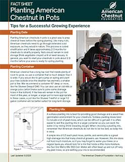 How to grow chestnuts in posts factsheet cover