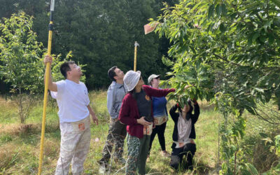 Pollination Day at the Chestnut Return Farm, Seneca, SC, June 12, 2025
