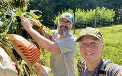 Pollinations at the Pryor Farm, Edneyville, NC, June 18, 2025