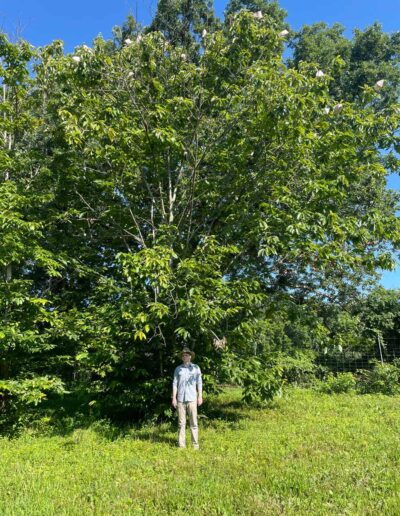 D1-3-59 with person for scale